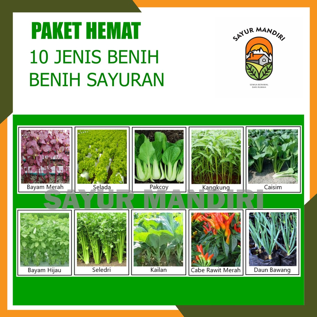 Paket Hemat 10 Jenis Benih Sayuran