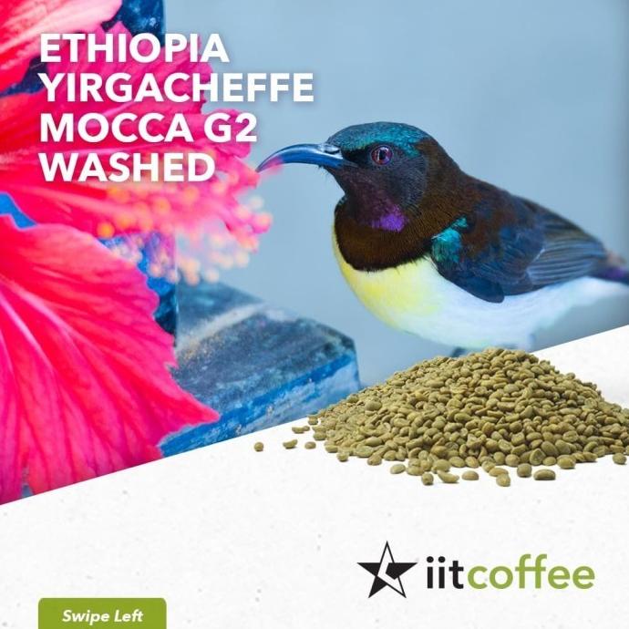 

Arabica Green Beans - Yirgacheffe Mocca Washed