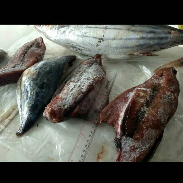 

Ikan Cakalang Fillet beku 1kg