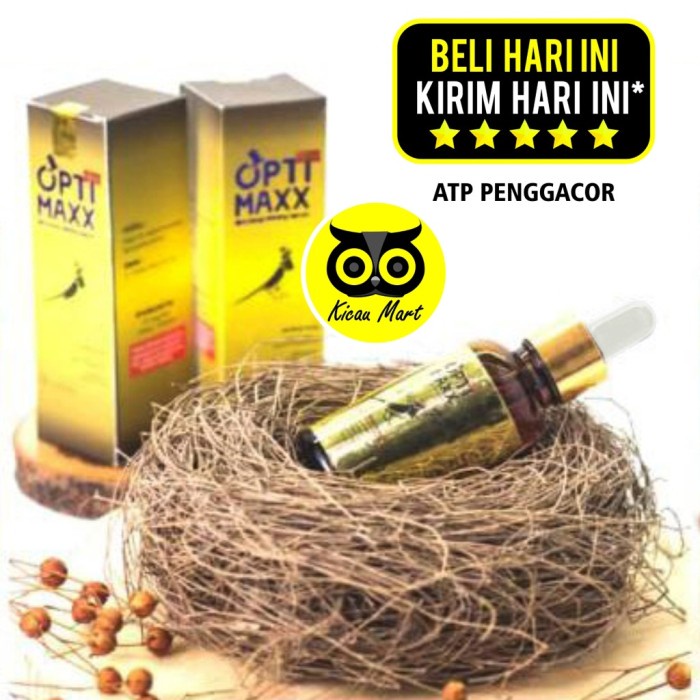 Dftoiutamtam Optimaxx Serum Penggacor Burung Lovebird Murai Kacer Vitamin Doping Op