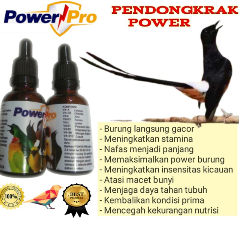 vitamin murai batu suplemen multivitamin penggacor burung
