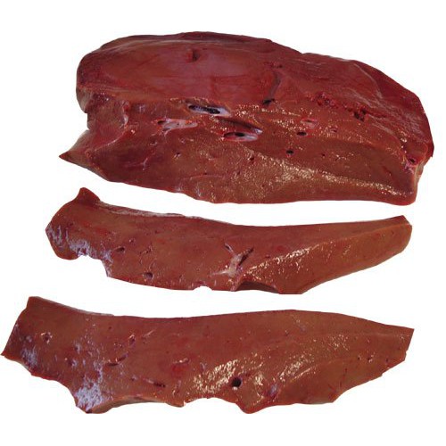 

Hati Sapi Segar (Fresh Beef HEART)