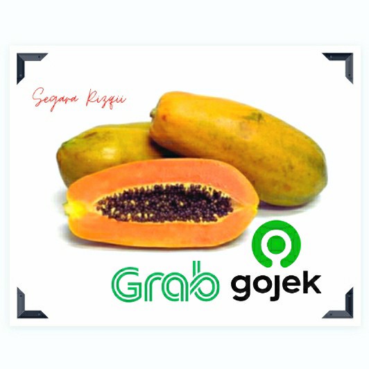

pepaya california 1 buah