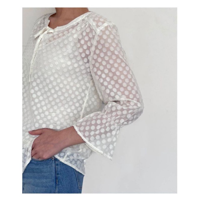 Van housen polkadot sheer bellsleeve blouse