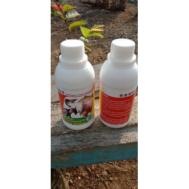 

nutrisivitaminhewan