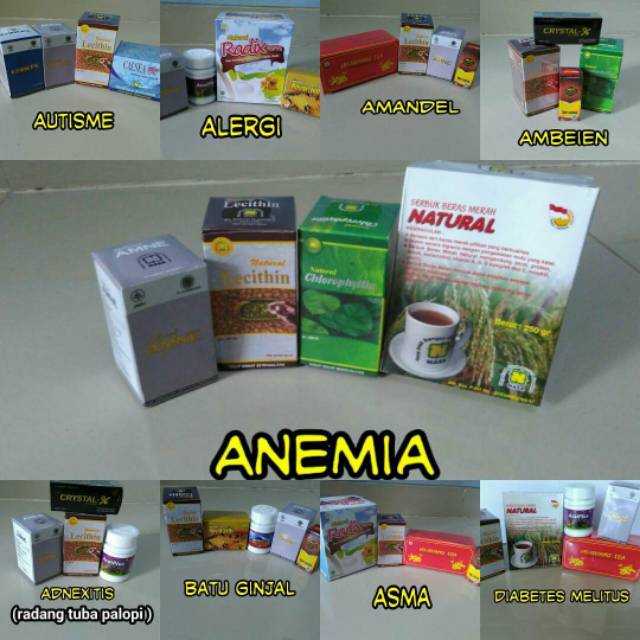 PAKET OBAT HERBAL MUJARAB AMPUH ANEMIA NASA