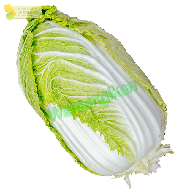 

Sawi Putih / Sayur Segar