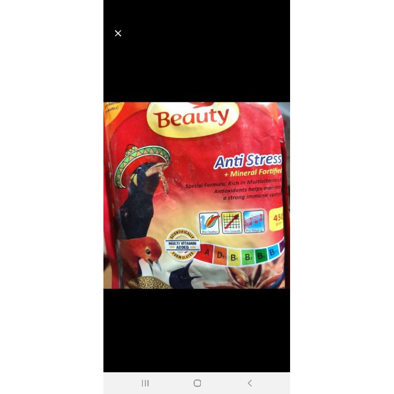 umpan burung beuty merah