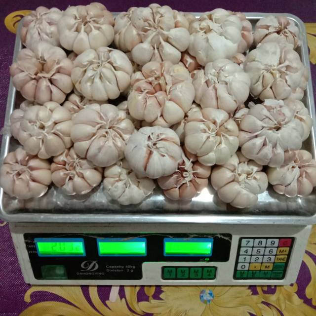 

Bawang putih sayur bandung