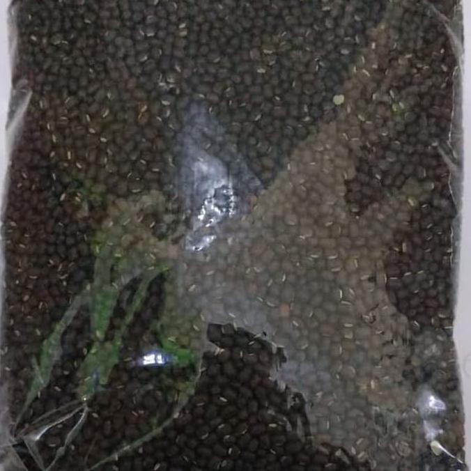 

Kacang Black Daal Dafa.Olshop