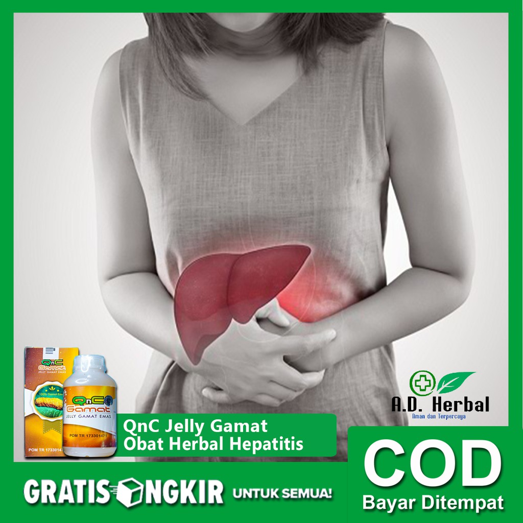 

Obat hepatitis A B C D Radang hati liver panyakit kuning Herbal Qnc Jelly gamat