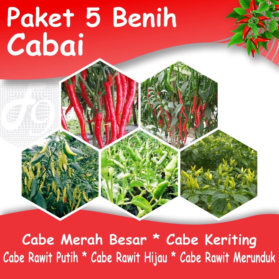 Paket Benih Cabe 5 Jenis Bibit Sayuran Cabai Merah Besar Keriting Rawit Hijau Rawit Putih Rawit Merunduk