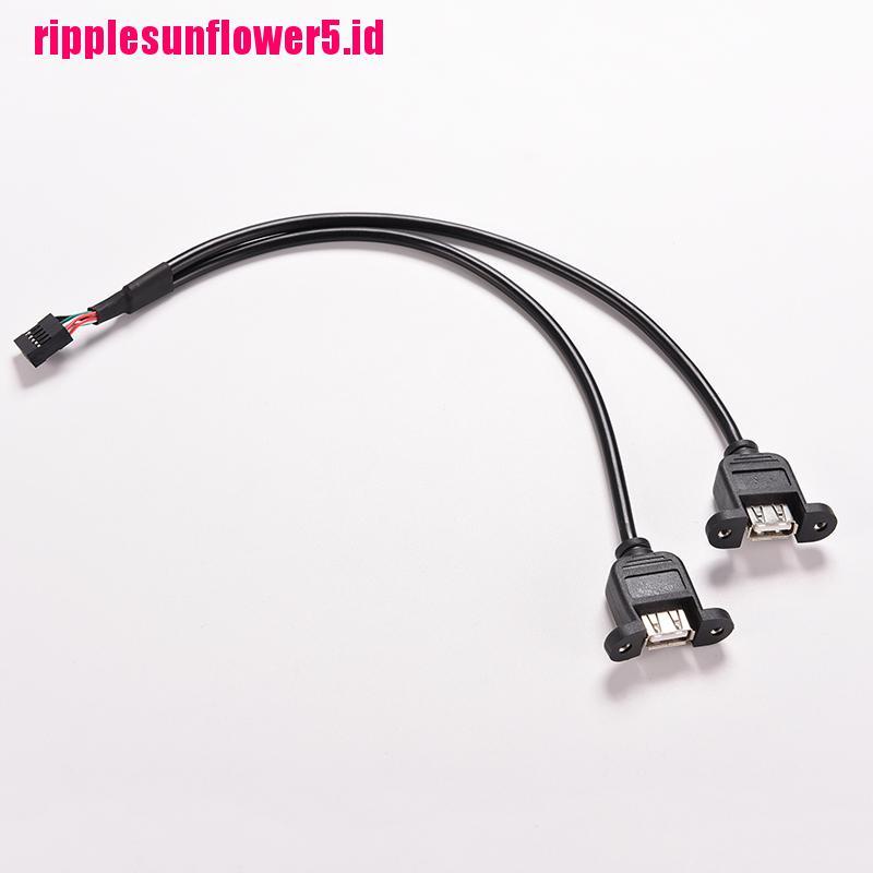 1pc Kabel Adapter Header Hitam 30cm / 1FT 2 Port USB A Female Ke Internal 9