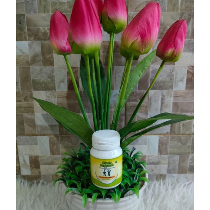 penggemuk badan ampuh