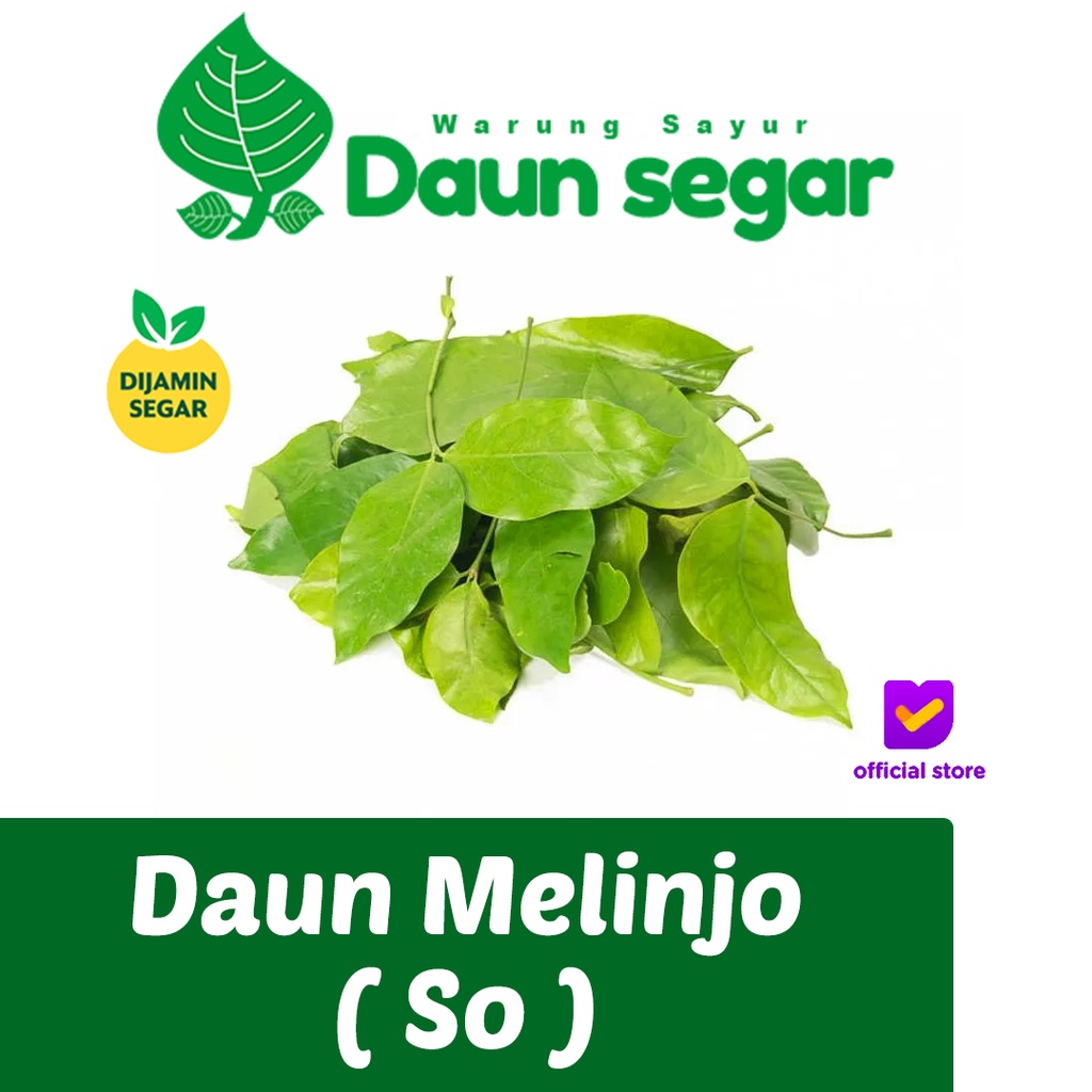 

Daun melinjo Daun so Fresh