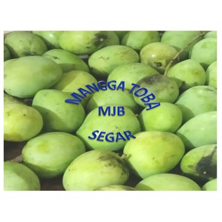 Jual Buah mangga Toba mangga Samosir buah mangga endemik Toba Indonesia ...