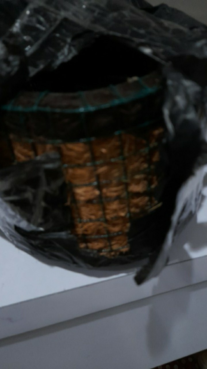 Pot Tempel / Pot Sabut Kelapa / Pot Anggrek / Pot Serabut Kelapa / Media Tanaman Anggrek