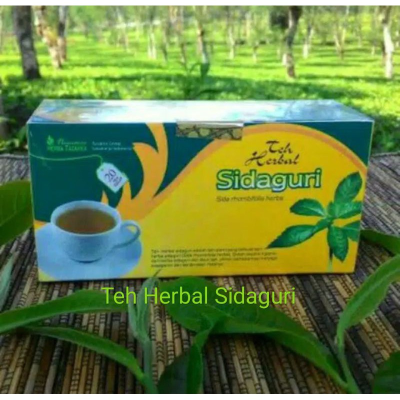 

Teh Herbal Sidaguri