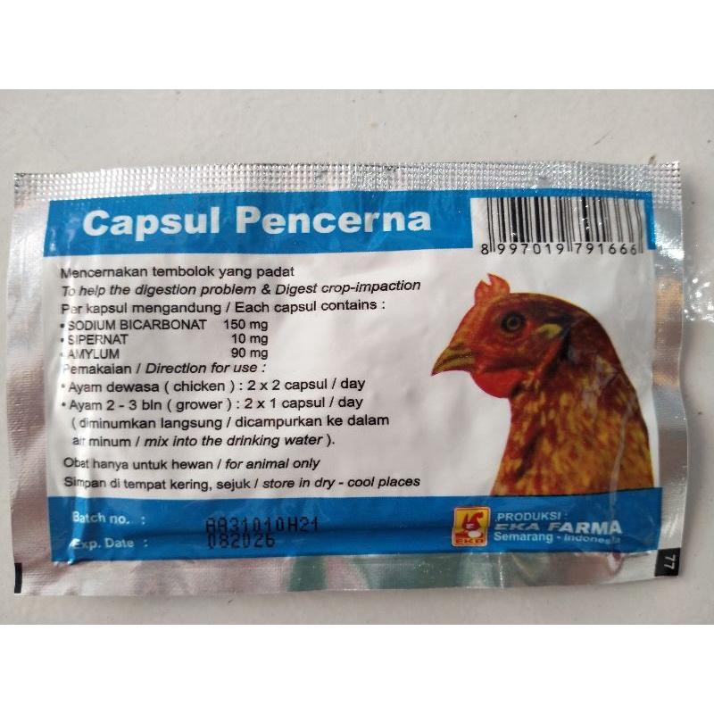 CAPSUL PENCERNA isi 10 Kapsul