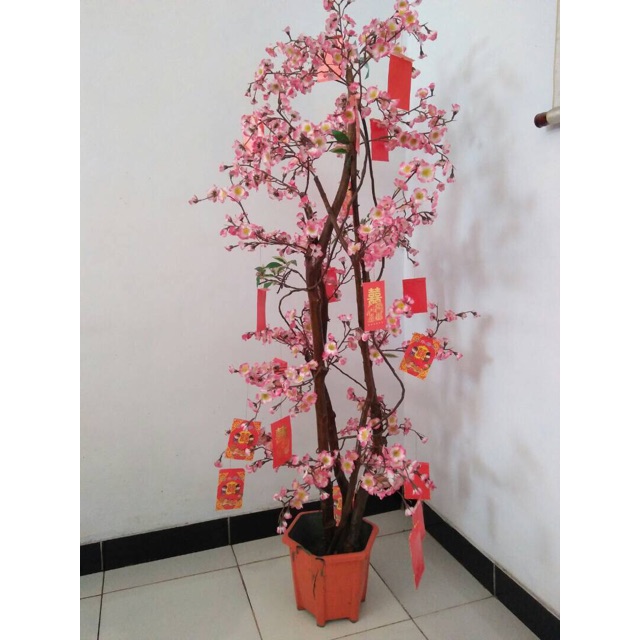 

Pohon Plastik Sakura atau Pohon Angpao