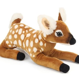 53 Gambar Hewan Kancil Asli Gratis Terbaik