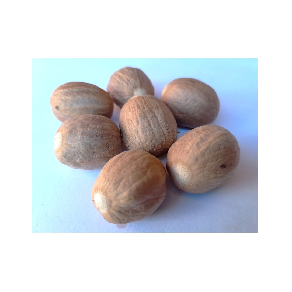 

Pala Kering Fres Gamalama 100 % Original Maluku Utara