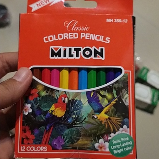 COLORED PENCILS PENSIL WARNA 12 PCS-2