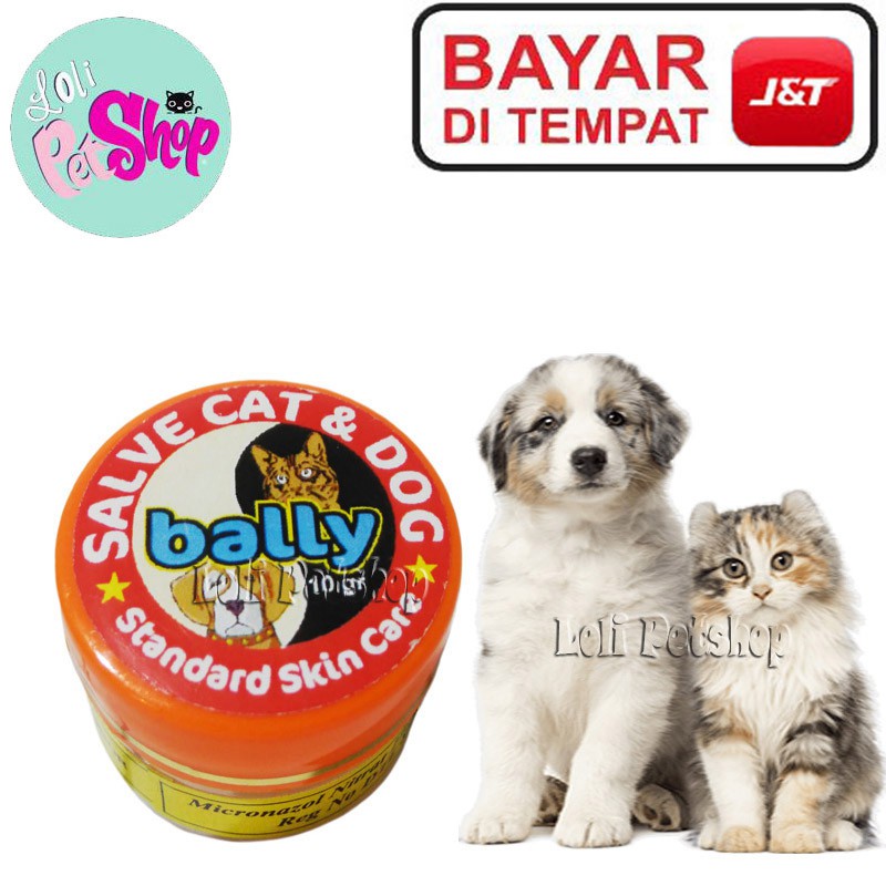 OBAT CREAM JAMUR KUCING LUKA KORENG ANJING SCABIES SALEP BALLY