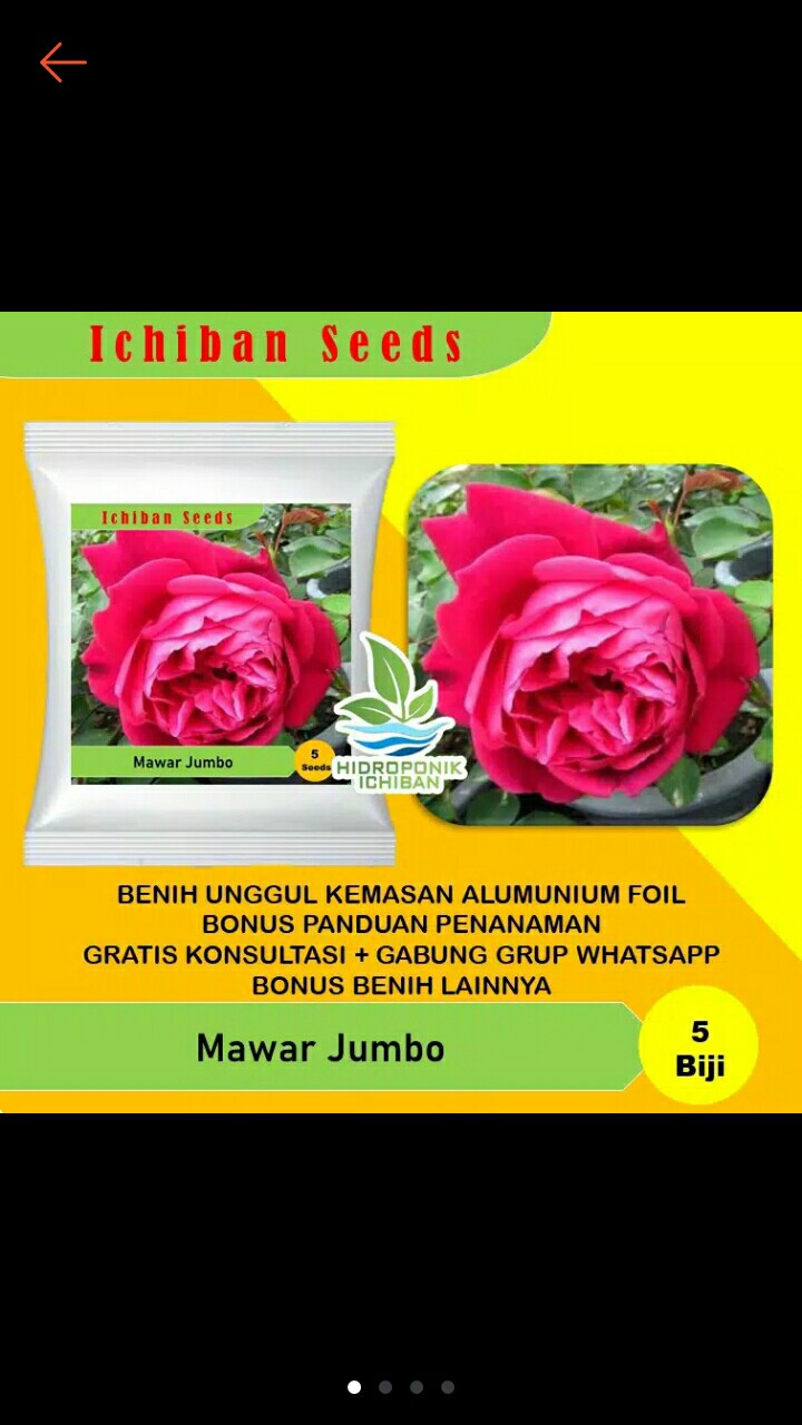 Benih Bibit Biji Bunga Mawar Jumbo Kemasan Alumunium Foil