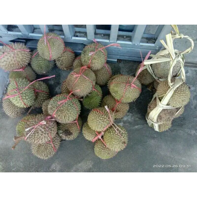 

durian