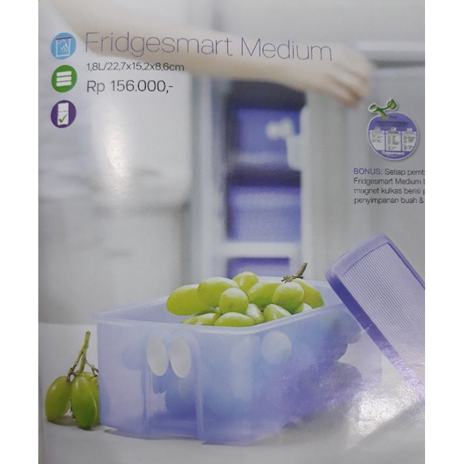 Fridgesmart Medium Tupperware