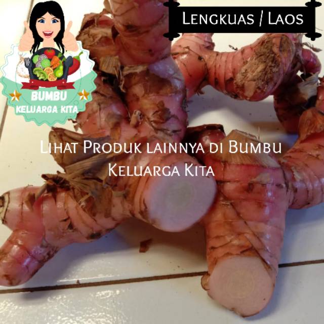 

Lengkuas / Laos 250Gram