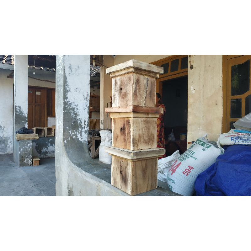 KOTAK ATAU STUP LEBAH TRIGONA ITAMA