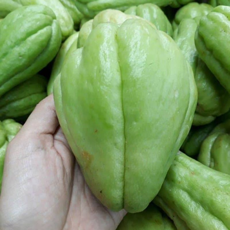 

labu siam / sayur jepang per 1 buah 250g