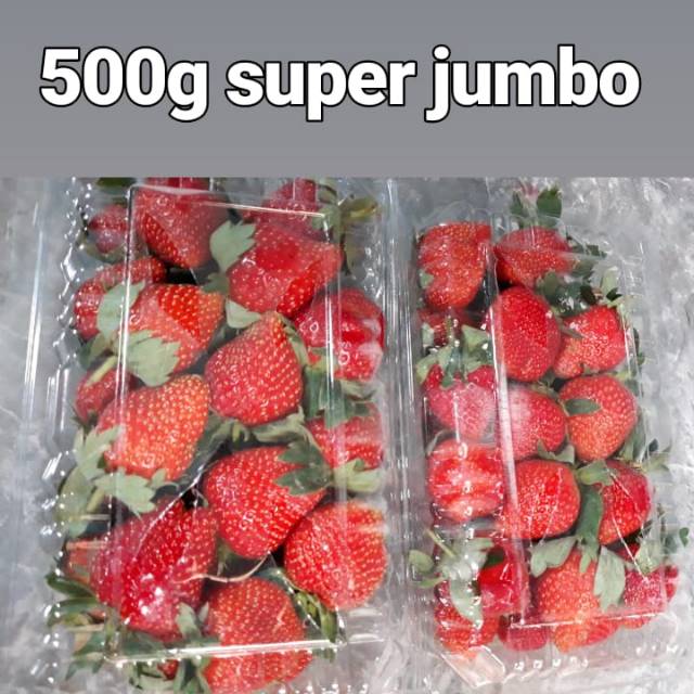 

Buah Strawberry Segar Kota Batu, Malang
