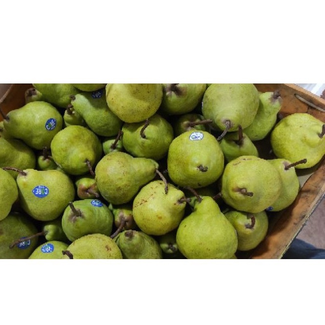 

Pear Packham / Pir Pakam