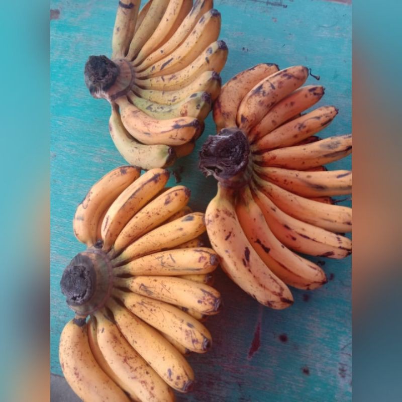 

Pisang Barangan medan