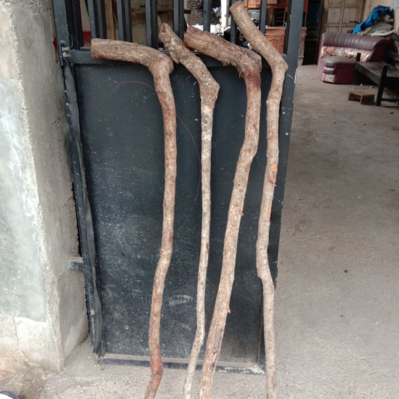 Tongkat kayu stigi bahan tongkat kayu stigi asli