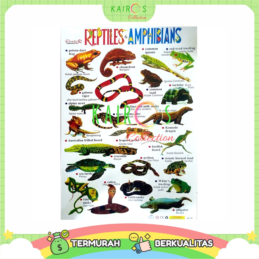 Poster Anak Belajar Binatang Reptil dan Amfibi