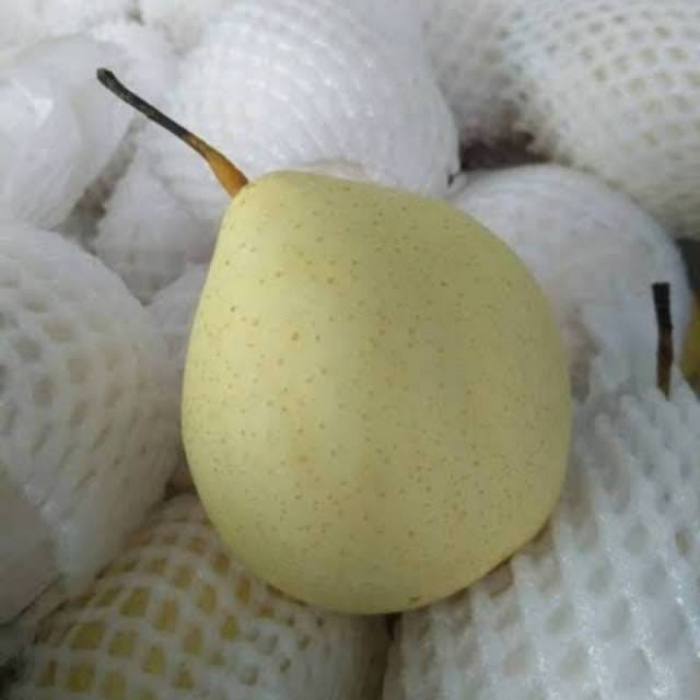 

Buah Pear/Pir yalie Buah Segar
