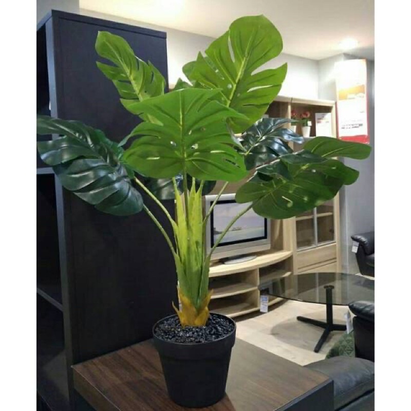 Tanaman Monstera artificial latex informa / Tanaman hias palsu Tanaman monstera Latex