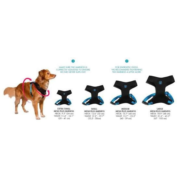 dog collars pet supplies plus