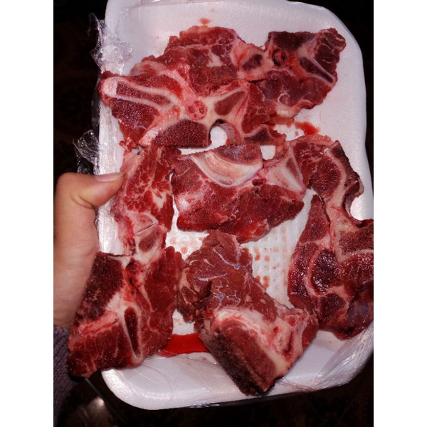 

Tulang Iga