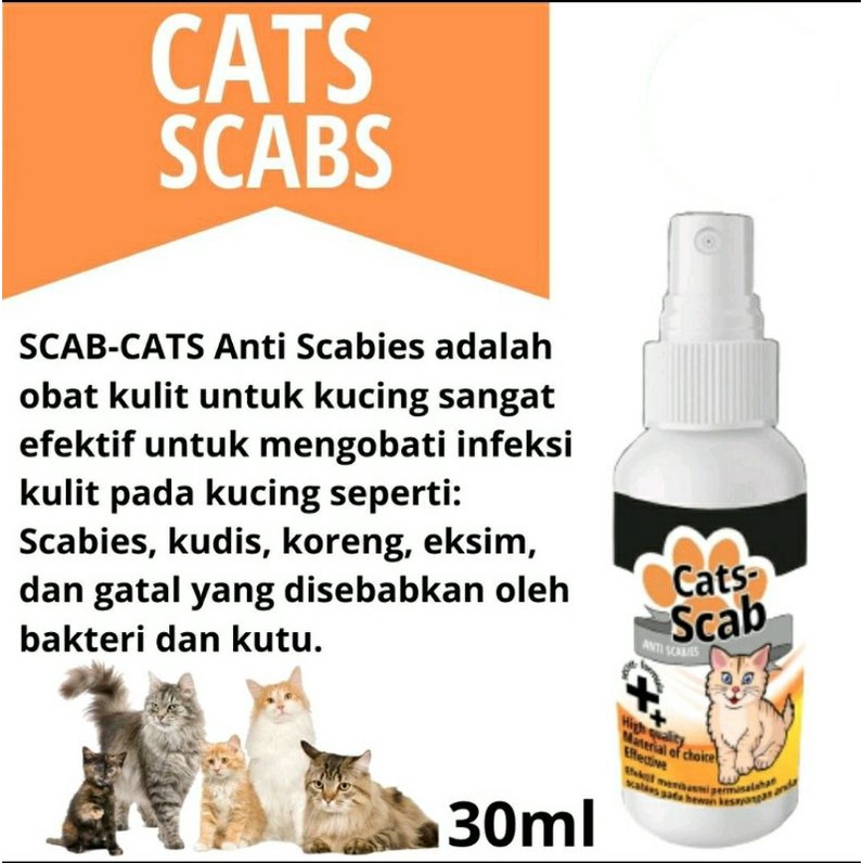 Obat Jamur Kucing Cats Scabs Scabies Demodex Impetigo Jamur Kutu Parasit Cacing Hati Gatal Kulit ANTI KUTU