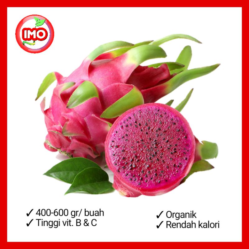 

Buah Naga Merah Organik 1 kg