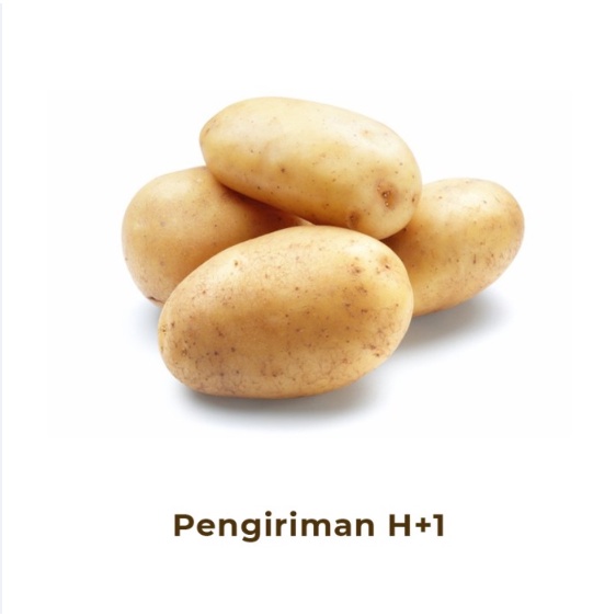 

Kentang Segar