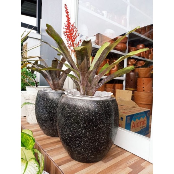 Pot Teraso / terrazzo Model Endog Hitam