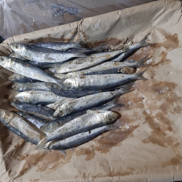 

Ikan asin Japu Sero 1/4(250g)