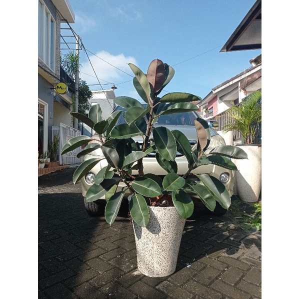 Pot Teraso / Terrazzo model Corong Hitam