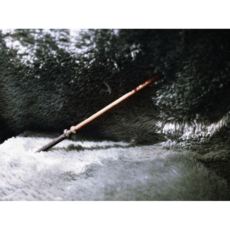 Tongkat Draco malfoy